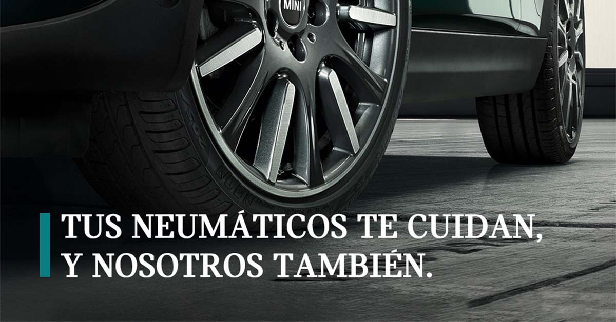 mini_neumaticos